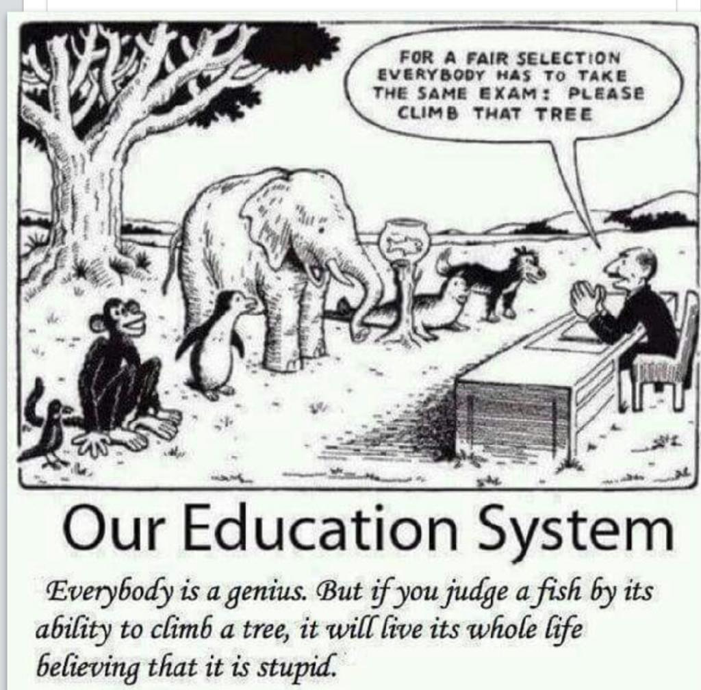 Why Most Education Systems are Ridiculous